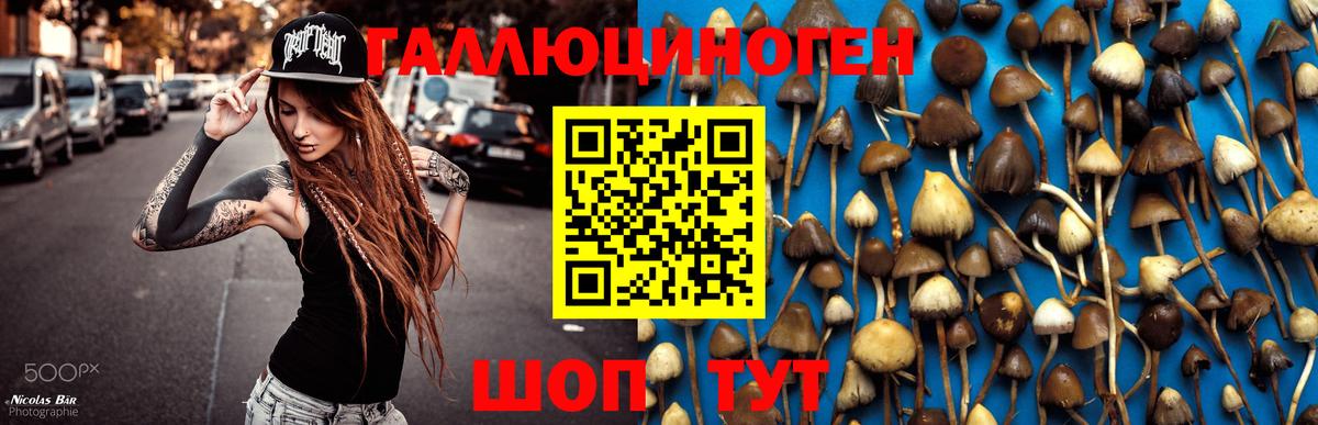 Галлюциногенные грибы мухоморы  Вход с VPN  Коркино 